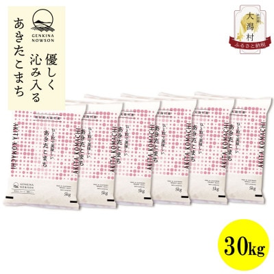 【毎月定期便】秋田県産あきたこまち白米30kg(5kg×6)全6回【配送不可地域：離島・沖縄県】