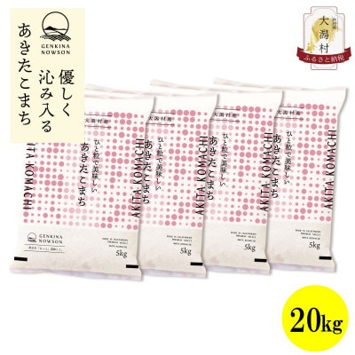 【毎月定期便】秋田県産あきたこまち無洗米20kg(5kg×4)全6回【配送不可地域：離島・沖縄県】