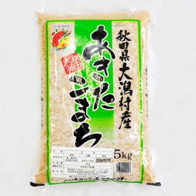 【毎月定期便】あきたこまち玄米5kg全9回【配送不可地域：離島・沖縄県】