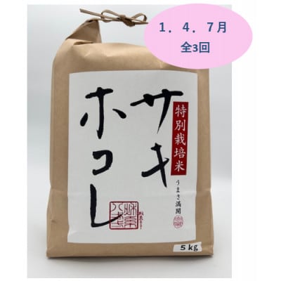 【発送月固定定期便】1月、4月、7月　特別栽培米サキホコレ5kg全3回【配送不可地域：離島・沖縄県】