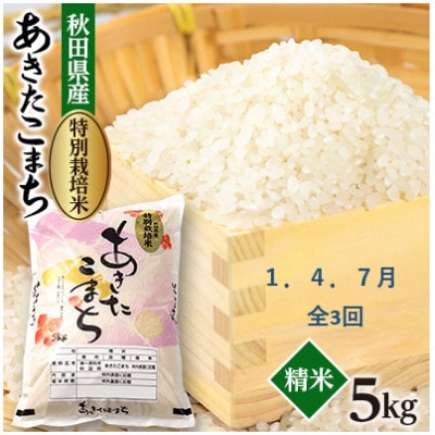 【発送月固定定期便】1月・4月・7月　特別栽培米あきたこまち5kg全3回【配送不可地域：離島・沖縄県】