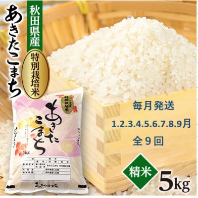 【発送月固定定期便】毎月発送　特別栽培米あきたこまち5kg全9回【配送不可地域：離島・沖縄県】