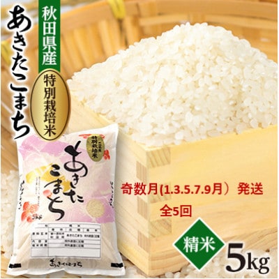 【発送月固定定期便】奇数月発送　特別栽培米あきたこまち5kg全5回【配送不可地域：離島・沖縄県】