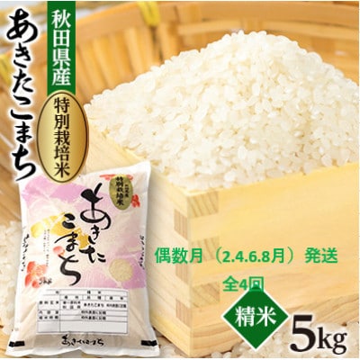 【発送月固定定期便】偶数月発送　特別栽培米あきたこまち5kg全4回【配送不可地域：離島・沖縄県】