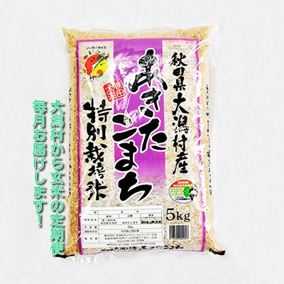2023年5月発送開始『定期便』【玄米】大潟村産の美味しい「特別栽培米あきたこまち5kg」全12回【配送不可地域：離島・沖縄県】