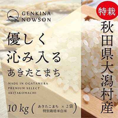 2023年8月発送開始『定期便』秋田県産特別栽培米あきたこまち　白米10kg全12回【配送不可地域：離島・沖縄県】