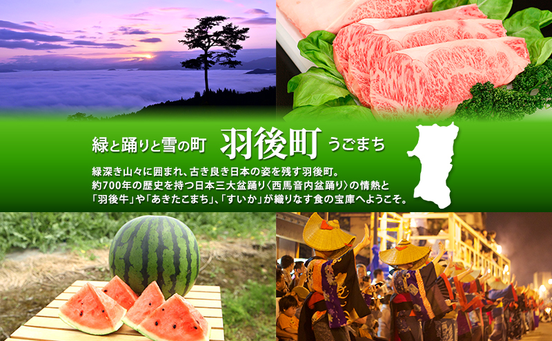 雪室貯蔵の純米吟醸酒「端縫い」2本セット アルコール お酒