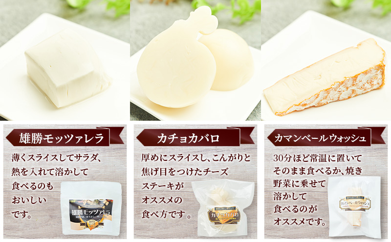 秋田 羽後 チーズアソート5種9個/フレッシュセット［明通りチーズ工房］モッツァレラ・カチョカバロ・スカモルツァ2種・カマンベールウォッシュ【 チーズ アソート 詰合せ セット バラエティ 乳製品 ワイン 麦酒 ビール 酒 食べ比べ 受賞 】