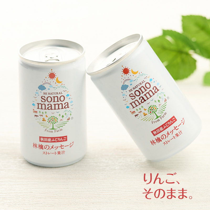 《 定期便 3ヵ月 》 りんごジュース「sonomama」（160g×20本）×3箱 りんご リンゴ ジュース リンゴジュース 飲料