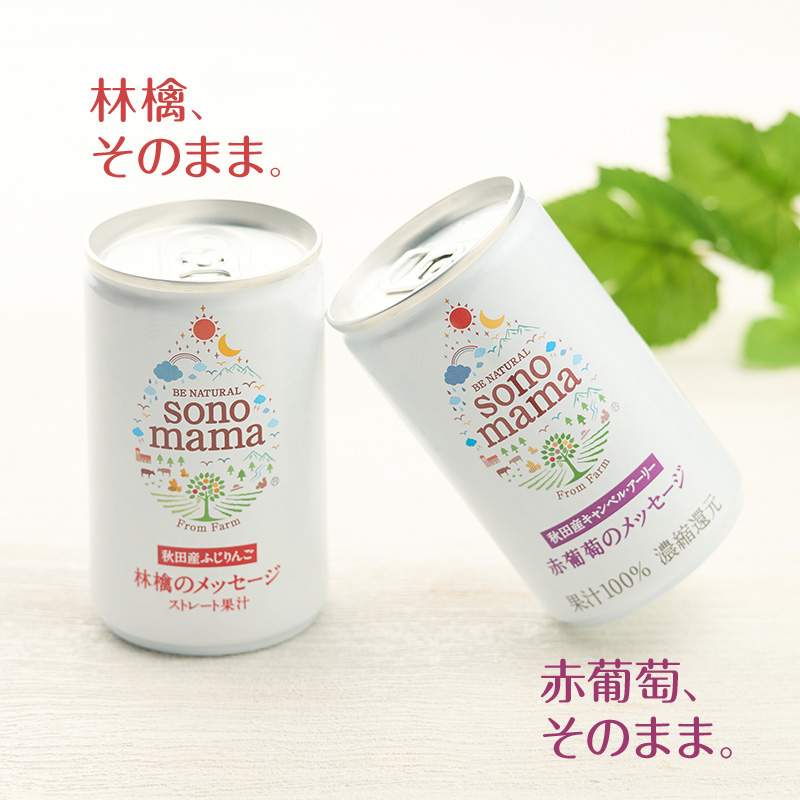 《 定期便 3ヵ月 》ミックス「sonomama」(160g×10本）りんごジュース 赤ぶどうジュース ジュース 飲料