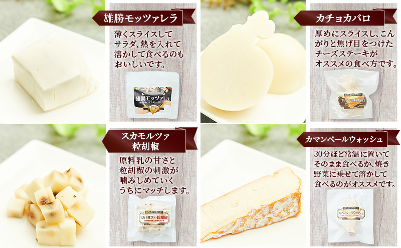 【2ヶ月毎全2回お届け】秋田 羽後 チーズアソート4種/定番セット［明通りチーズ工房］モッツァレラ・カチョカバロ・スカモルツァ・カマンベールウォッシュ【チーズ アソート 詰合せ セット バラエティ 乳製品 ワイン 麦酒 ビール 酒】