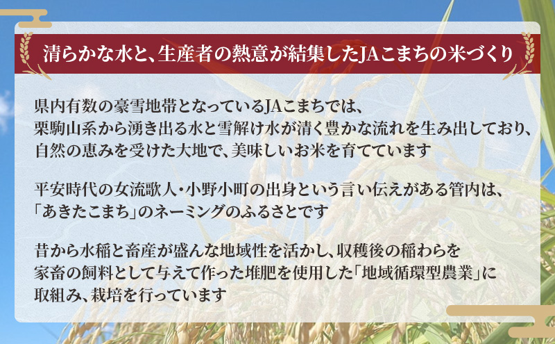 無洗米 秋田県産 あきたこまち 10kg (5kg×2袋)[令和7年産] JAこまち【 米 お米 白米 ご飯 お弁当 あま味 モチモチ 美味しい ブランド米 銘柄米 秋田 羽後 】
