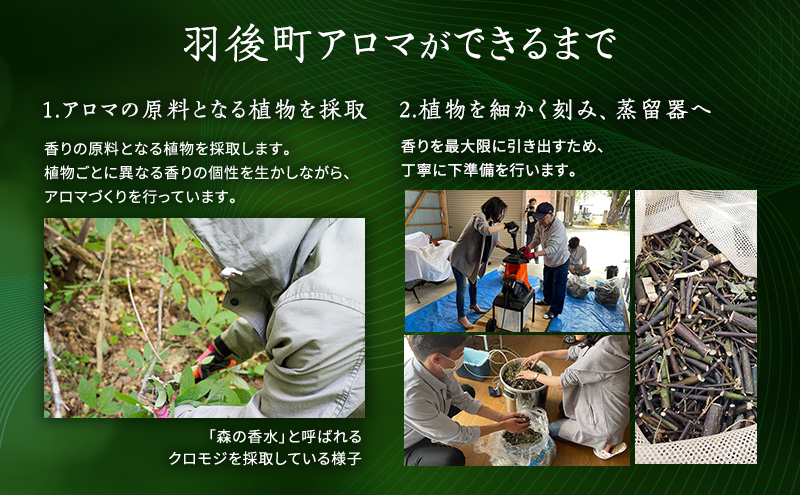 杉宮精香堂 黒文字（クロモジ）ミスト 15ml 香 [ 優しい香り 匂い 癒し リフレッシュ ］