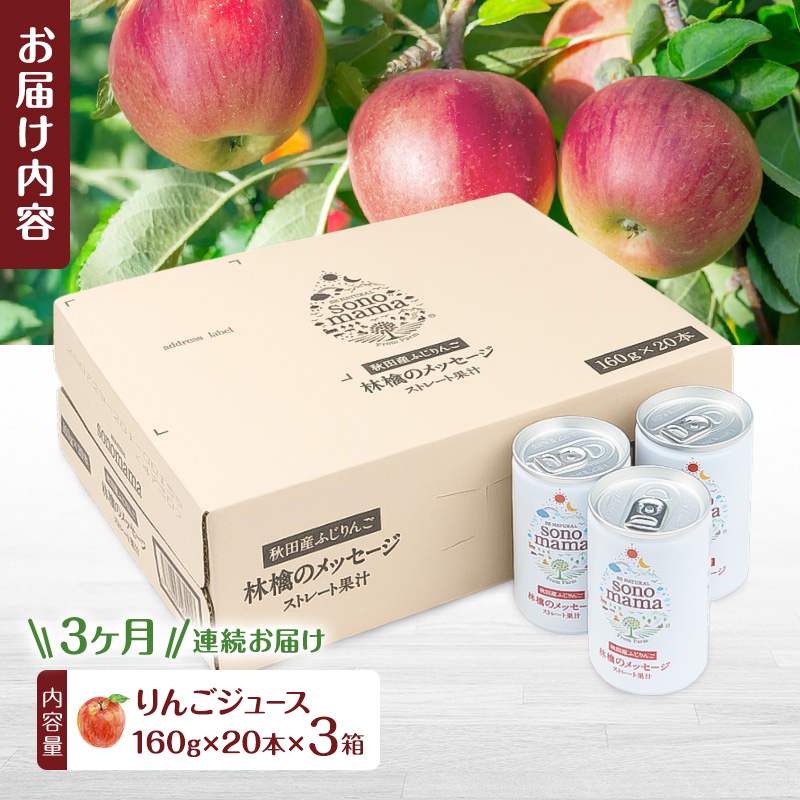 《 定期便 3ヵ月 》 りんごジュース「sonomama」（160g×20本）×3箱 りんご リンゴ ジュース リンゴジュース 飲料
