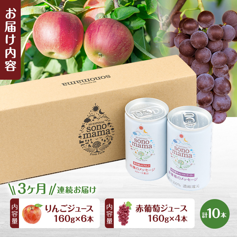 《 定期便 3ヵ月 》ミックス「sonomama」(160g×10本）りんごジュース 赤ぶどうジュース ジュース 飲料