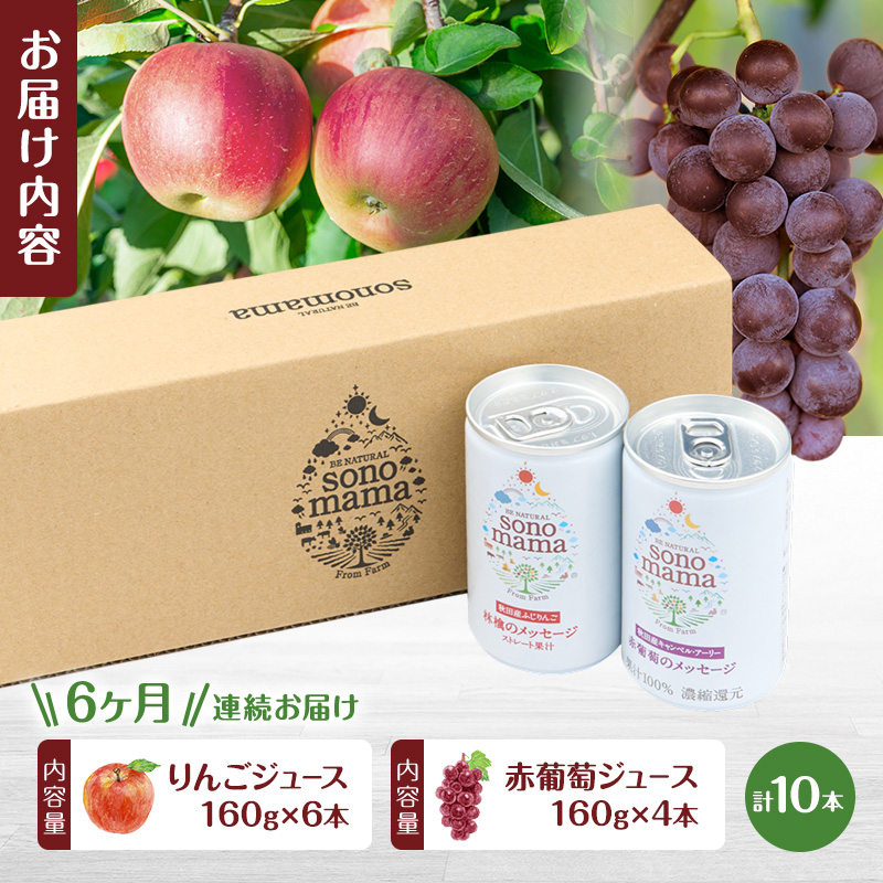 《 定期便 6ヵ月 》ミックス「sonomama」(160g×10本）りんごジュース 赤ぶどうジュース ジュース 飲料