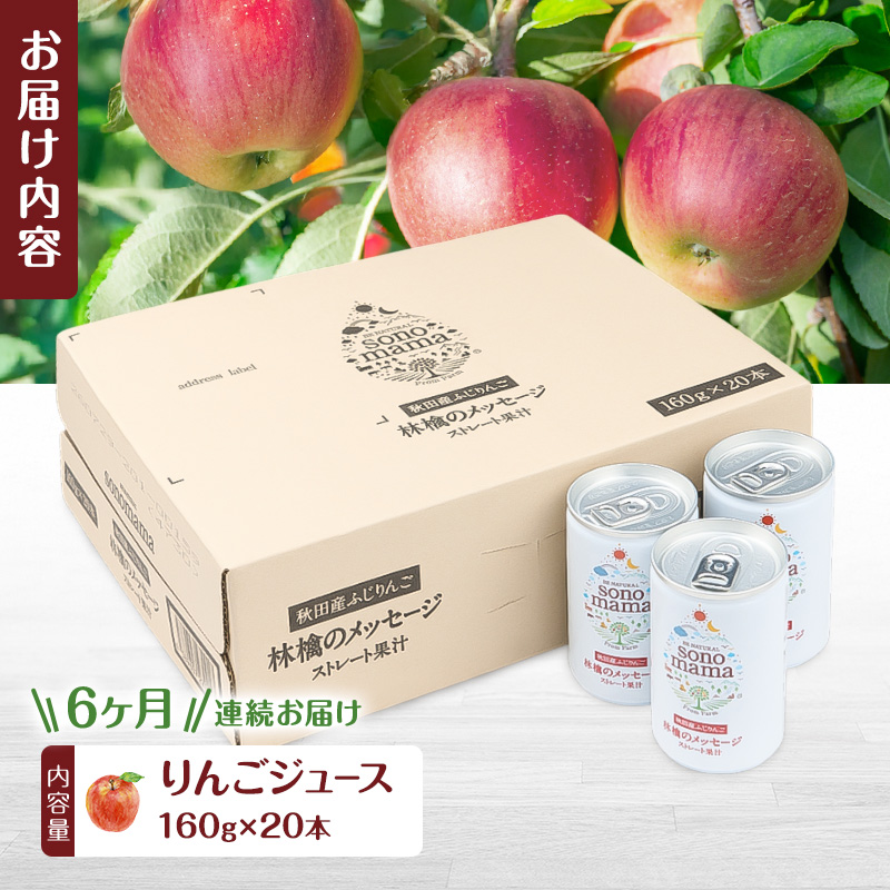 《 定期便 6ヵ月 》りんごジュース「sonomama」（160g×20本）りんご リンゴ ジュース リンゴジュース 飲料