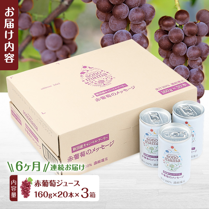 《 定期便 6ヵ月 》赤葡萄ジュース「sonomama」（160g×20本）ぶどう ブドウ ジュース ぶどうジュース 飲料