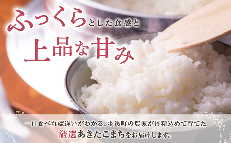 秋田県 羽後町産 あきたこまち 精米 10kg（5kg×2袋）【 米 お米 白米 精米 アキタコマチ 美味しい 秋田 羽後 】