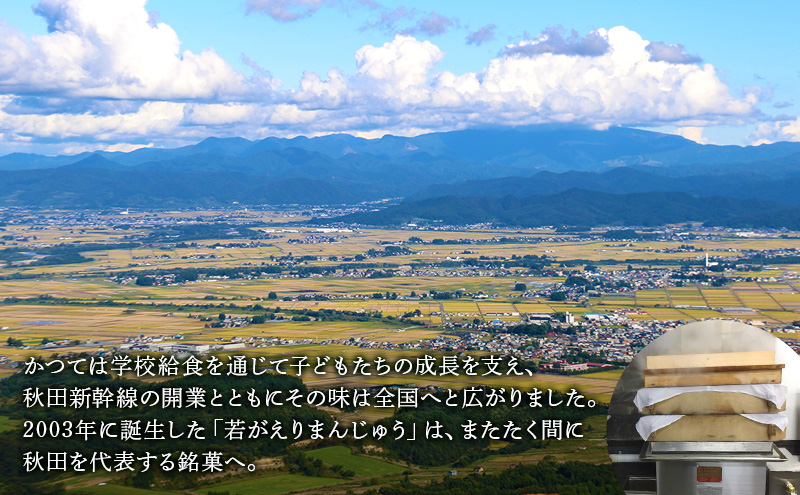 大正五年創業［お菓子の泉榮堂］まめだよ 20個入 若がえりまんじゅう第3弾 秋田県産枝豆 ずんだ餡 郷土菓子【 和菓子 まんじゅう お菓子 スイーツ 秋田 羽後 】