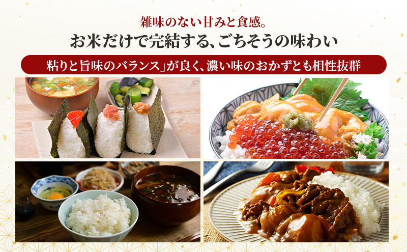 無洗米 秋田県産 あきたこまち 10kg (5kg×2袋)[令和7年産] JAこまち【 米 お米 白米 ご飯 お弁当 あま味 モチモチ 美味しい ブランド米 銘柄米 秋田 羽後 】