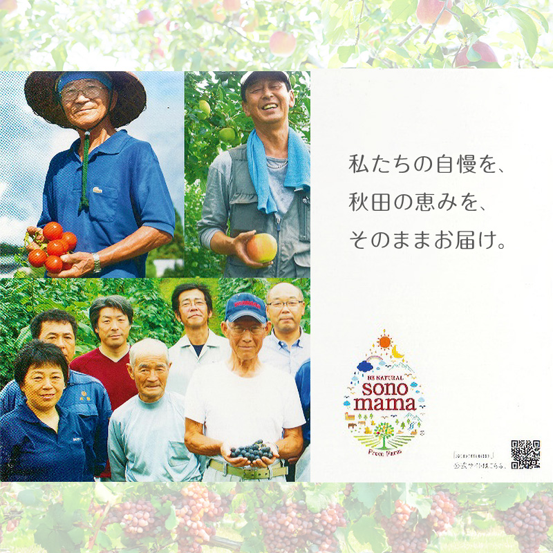 《 定期便 6ヵ月 》 りんごジュース「sonomama」（160g×20本）×3箱 りんご リンゴ ジュース リンゴジュース 飲料