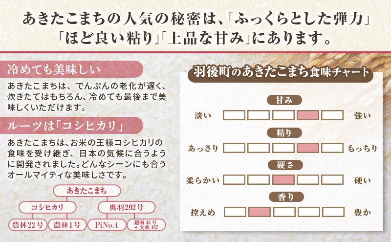 秋田県 羽後町産 あきたこまち 精米 5kg×1袋【 米 お米 白米 精米 アキタコマチ 美味しい 秋田 羽後 】
