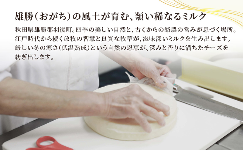 秋田 羽後 チーズアソート7種17個/満腹セット［明通りチーズ工房］モッツァレラ・カチョカバロ・スカモルツァ2種・カマンベールウォッシュ・アヴァ（オリジナル）2種【 チーズ 詰合せ セット バラエティ 乳製品 ワイン ビール 酒 食べ比べ 受賞 】