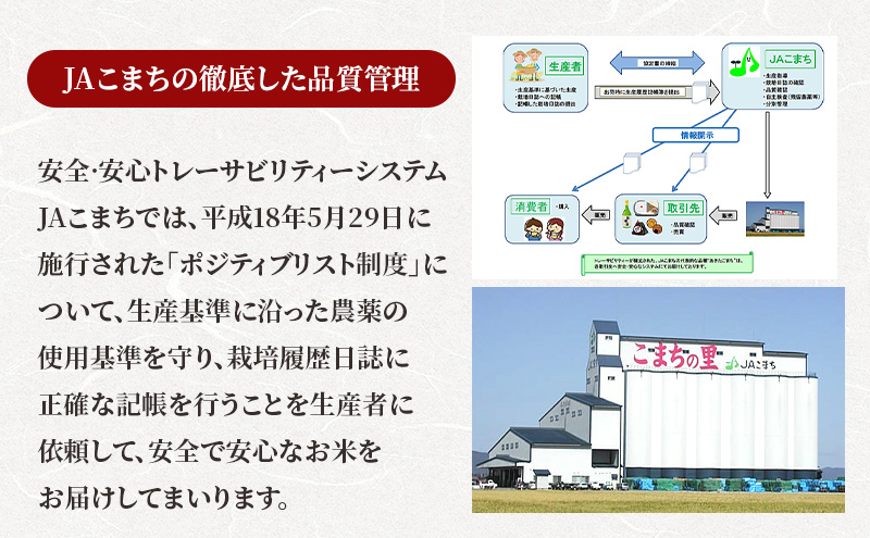 無洗米 秋田県産 あきたこまち 10kg (5kg×2袋)[令和7年産] JAこまち【 米 お米 白米 ご飯 お弁当 あま味 モチモチ 美味しい ブランド米 銘柄米 秋田 羽後 】