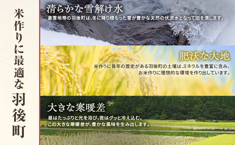 秋田県 羽後町産 あきたこまち 精米 5kg×1袋【 米 お米 白米 精米 アキタコマチ 美味しい 秋田 羽後 】