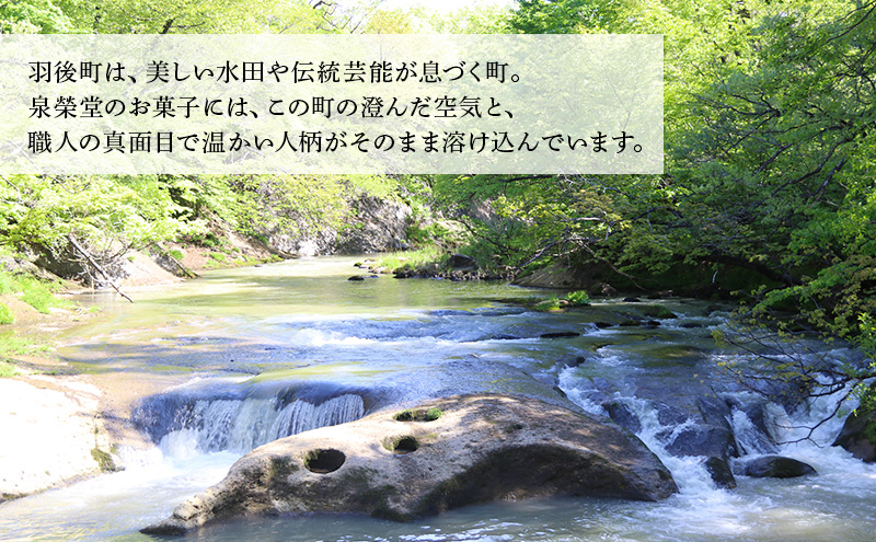 大正五年創業［お菓子の泉榮堂］まめだよ 6個入 若がえりまんじゅう第3弾 秋田県産枝豆 ずんだ餡 郷土菓子【 和菓子 まんじゅう お菓子 スイーツ 秋田 羽後 】