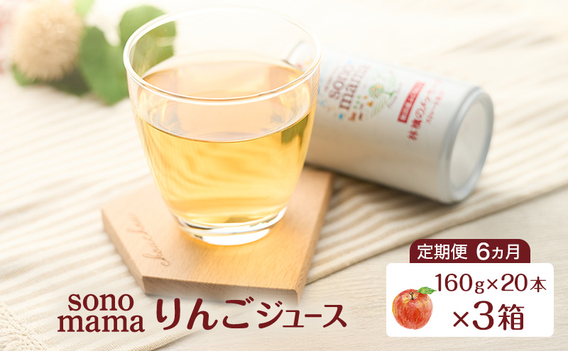 《 定期便 6ヵ月 》 りんごジュース「sonomama」（160g×20本）×3箱 りんご リンゴ ジュース リンゴジュース 飲料