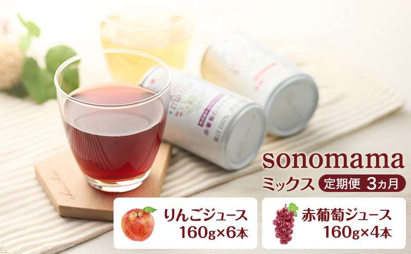 《 定期便 3ヵ月 》ミックス「sonomama」(160g×10本）りんごジュース 赤ぶどうジュース ジュース 飲料