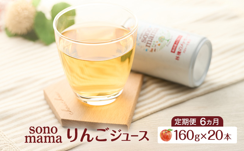 《 定期便 6ヵ月 》りんごジュース「sonomama」（160g×20本）りんご リンゴ ジュース リンゴジュース 飲料