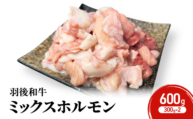 秋田県 羽後町産 羽後和牛 ミックスホルモン 600g （300g×2）【 焼肉 ホルモン BBQ バーベキュー キャンプ 】