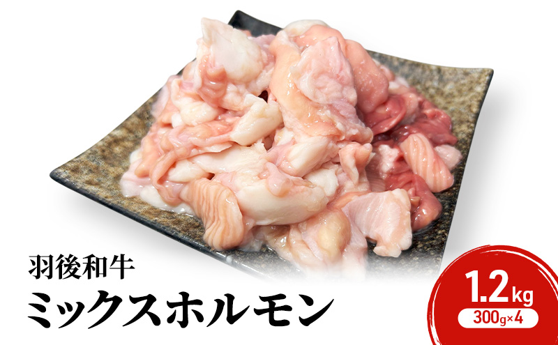 秋田県 羽後町産 羽後和牛 ミックスホルモン 1.2kg （300g×4）【 焼肉 ホルモン BBQ バーベキュー キャンプ 】