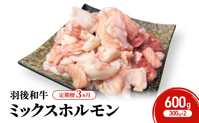 《 定期便 3ヵ月 》 秋田県 羽後町産 羽後和牛 ミックスホルモン 600g （300g×2）【 焼肉 ホルモン BBQ バーベキュー キャンプ 】