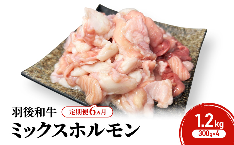 《 定期便 6ヵ月 》 秋田県 羽後町産 羽後和牛 ミックスホルモン 1.2kg （300g×4）【 焼肉 ホルモン BBQ バーベキュー キャンプ 】