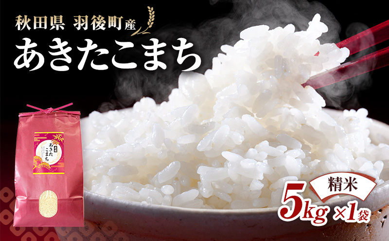 秋田県 羽後町産 あきたこまち 精米 5kg×1袋【 米 お米 白米 精米 アキタコマチ 美味しい 秋田 羽後 】