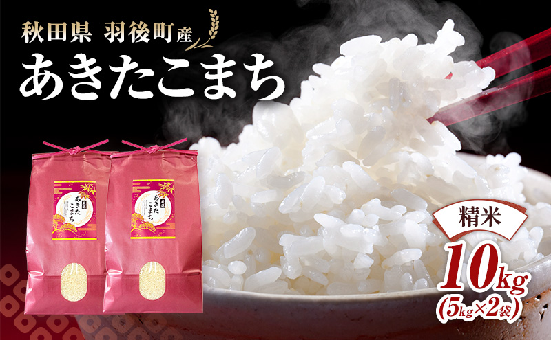 秋田県 羽後町産 あきたこまち 精米 10kg（5kg×2袋）【 米 お米 白米 精米 アキタコマチ 美味しい 秋田 羽後 】