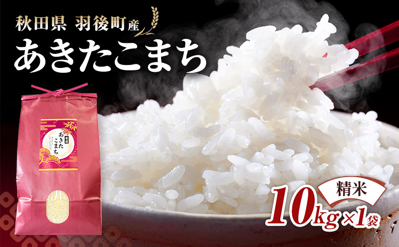 秋田県 羽後町産 あきたこまち 精米 10kg（10kg×1袋）【 米 お米 白米 精米 アキタコマチ 美味しい 秋田 羽後 】