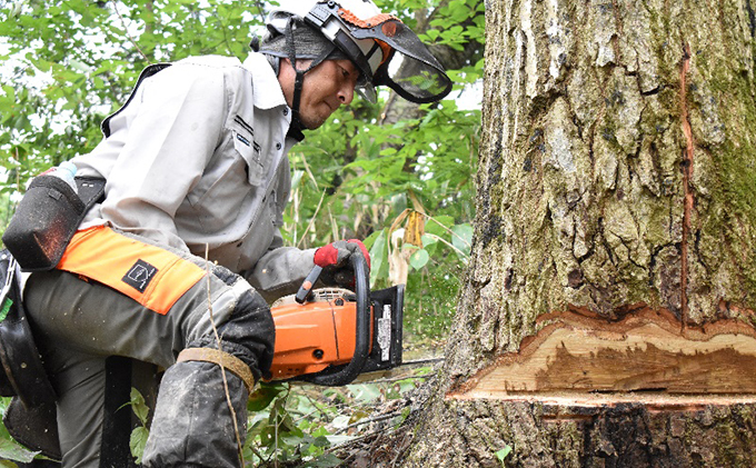 薪ストーブ初心者から上級者まで納得！太陽の薪　18箱3回配送 植物 まき