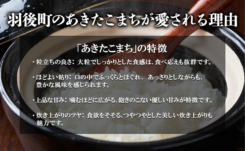 農家直送 秋田県産 あきたこまち 5kg (5kg×1)[令和6年産] 大谷地ファーム 田代のお米【 米 お米 ご飯 あきたこまち ブランド米 銘柄米 農家直送 特産品 秋田 羽後 】