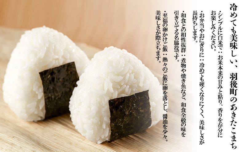 農家直送 秋田県産 あきたこまち 5kg (5kg×1)[令和6年産] 大谷地ファーム 田代のお米【 米 お米 ご飯 あきたこまち ブランド米 銘柄米 農家直送 特産品 秋田 羽後 】