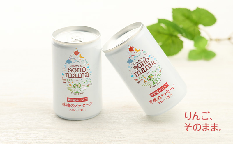 《 定期便 3ヵ月 》 りんごジュース「sonomama」（160g×5本）×2箱 りんご リンゴ ジュース リンゴジュース 飲料
