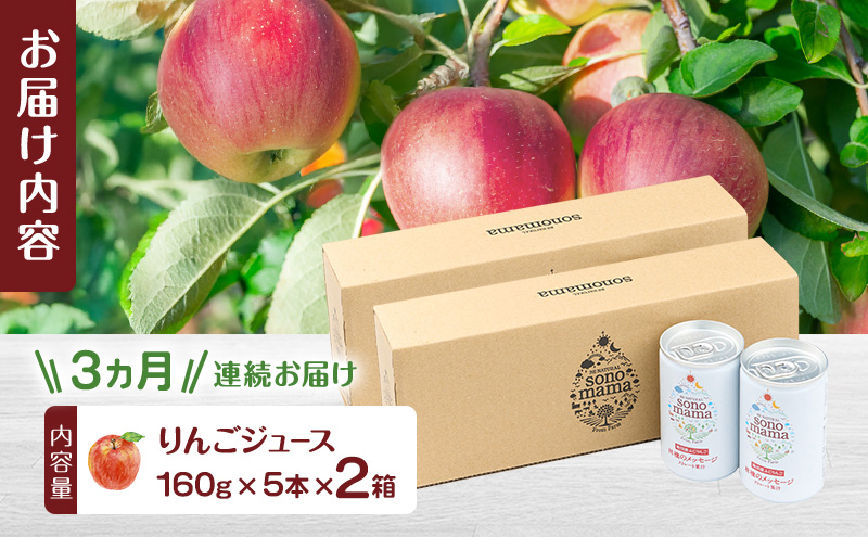 《 定期便 3ヵ月 》 りんごジュース「sonomama」（160g×5本）×2箱 りんご リンゴ ジュース リンゴジュース 飲料