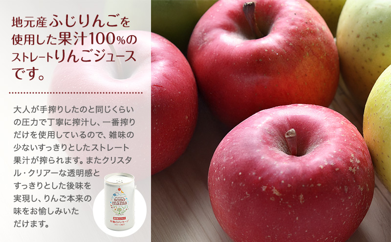 《 定期便 3ヵ月 》 りんごジュース「sonomama」（160g×5本）×2箱 りんご リンゴ ジュース リンゴジュース 飲料