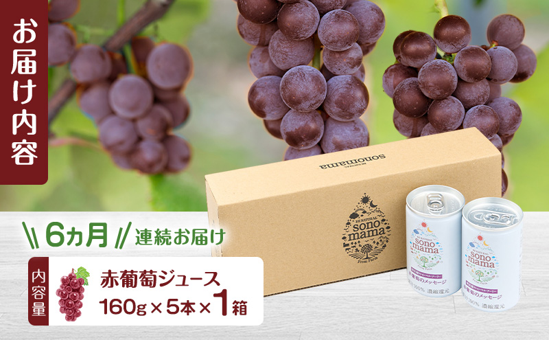 《 定期便 6ヵ月 》 赤葡萄ジュース「sonomama」（160g×5本）×1箱 ぶどう ブドウ ジュース ぶどうジュース 飲料