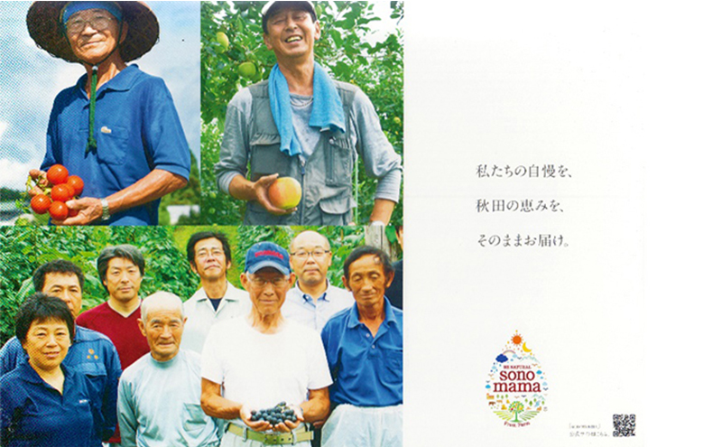 《 定期便 6ヵ月 》 赤葡萄ジュース「sonomama」（160g×5本）×1箱 ぶどう ブドウ ジュース ぶどうジュース 飲料