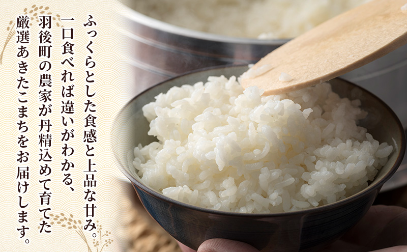 新米［令和7年産］秋田県産 あきたこまち 5kg×1袋 羽後町産 [藤原商店]【 米 お米 白米 精米 新米 あきたこまち アキタコマチ 美味しい 秋田 羽後 】